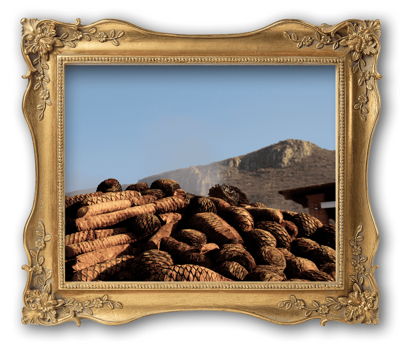 Botella de Mezcal de Mandarina